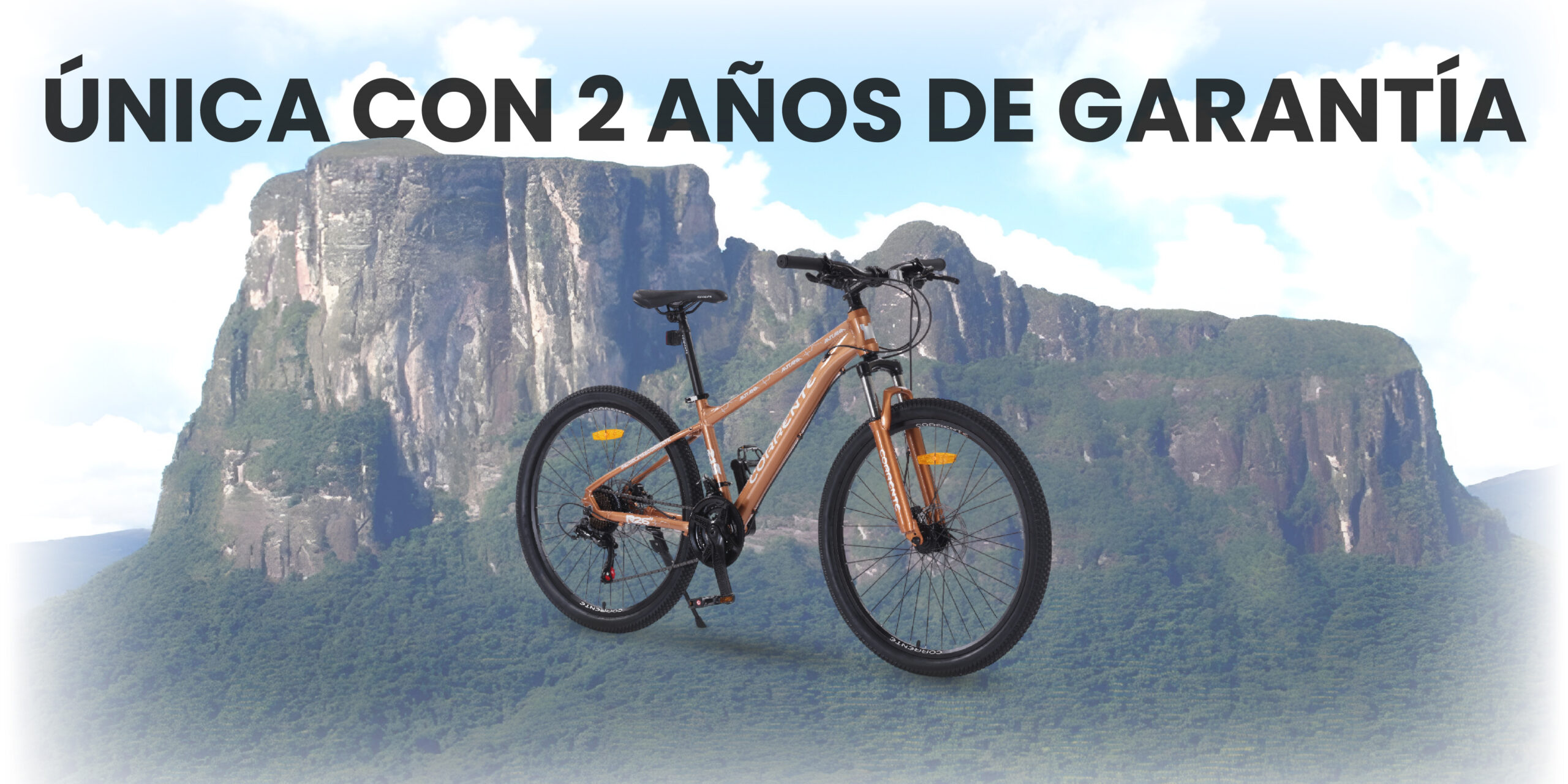 BANNERS CASHEA PAGINA WEB-04